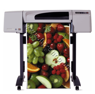 C7769C ������ HP DesignJet 500ps (24")