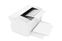 �����-���� ������� �������� � ������� HP LaserJet M110w