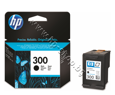 CC640EE ������ HP 300, Black
